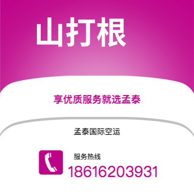 个旧市到山打根空运公司|个旧市至马来西亚山打根航空运输2