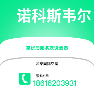 临沧市到诺科斯韦尔空运公司|临沧市至美国诺科斯韦尔航空运输2