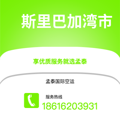 成都到斯里巴加湾市空运公司|成都到文莱斯里巴加湾市航空运输2