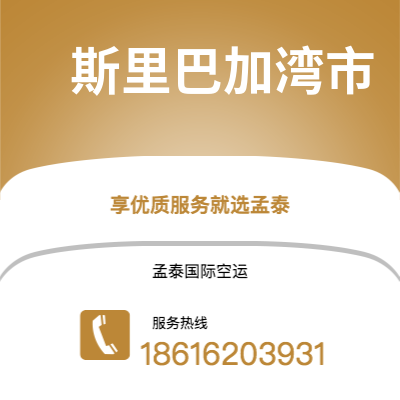 成都到斯里巴加湾市空运公司|成都到文莱斯里巴加湾市航空运输2