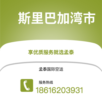 广州到斯里巴加湾市空运公司|广州到文莱斯里巴加湾市航空运输2