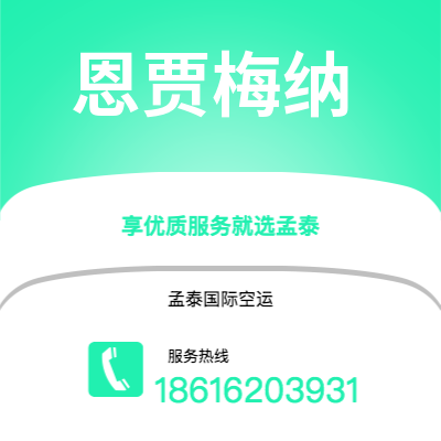 广州到恩贾梅纳空运公司|广州至恩贾梅纳航空运输2