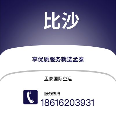 广州到比沙空运公司|广州至比沙航空运输2