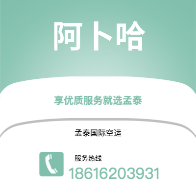 广州到阿卜哈空运公司|广州至阿卜哈航空运输2