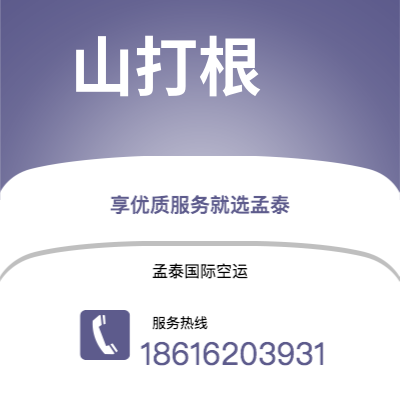 通化市到威尔明顿海运价格查询|通化市至美国威尔明顿国际海运整柜拼箱订舱2