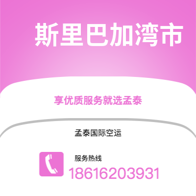 安庆市到斯里巴加湾市海运价格查询|安庆市至文莱斯里巴加湾市国际海运整柜拼箱订舱2