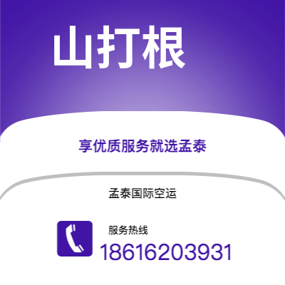 腾冲市到山打根海运价格查询|腾冲市至马来西亚山打根国际海运整柜拼箱订舱2