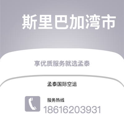 瑞丽市到斯里巴加湾市海运价格查询|瑞丽市至文莱斯里巴加湾市国际海运整柜拼箱订舱2