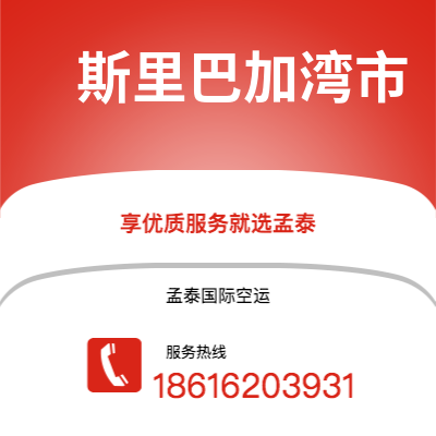 泸水市到斯里巴加湾市海运价格查询|泸水市至文莱斯里巴加湾市国际海运整柜拼箱订舱2