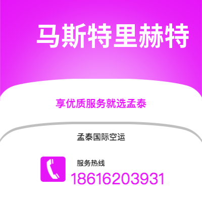 陆丰市到马斯特里赫特海运价格查询|陆丰市至荷兰马斯特里赫特国际海运整柜拼箱订舱2