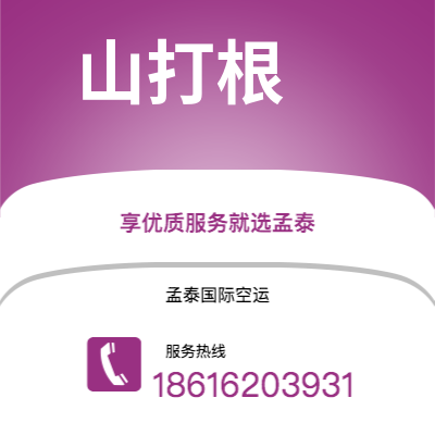 满洲里市到圣保罗海运价格查询|满洲里市至巴西圣保罗国际海运整柜拼箱订舱2
