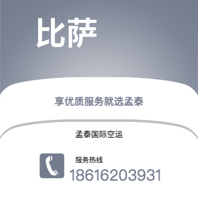 咸宁市到比萨海运价格查询|咸宁市至意大利比萨国际海运整柜拼箱订舱2