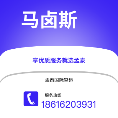 武冈市到马卤斯海运价格查询|武冈市至巴西马卤斯国际海运整柜拼箱订舱2