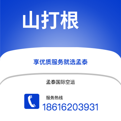 永州市到山打根海运价格查询|永州市至马来西亚山打根国际海运整柜拼箱订舱2