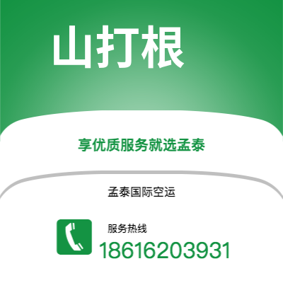 台北市到班珠尔海运价格查询|台北市至冈比亚班珠尔国际海运整柜拼箱订舱2