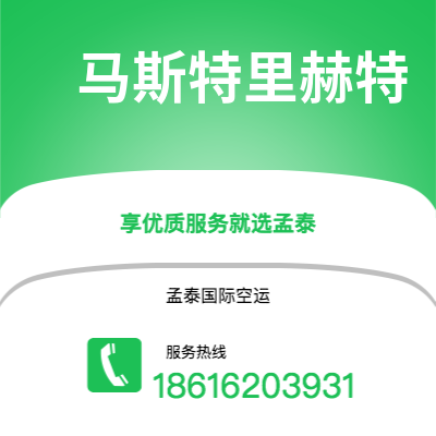 嘉义市到马斯特里赫特海运价格查询|嘉义市至荷兰马斯特里赫特国际海运整柜拼箱订舱2