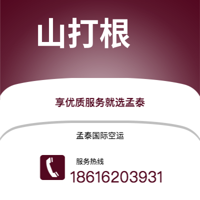 延安市到山打根海运价格查询|延安市至马来西亚山打根国际海运整柜拼箱订舱2