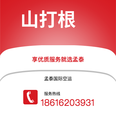 宜宾市到山打根空运公司|宜宾市至马来西亚山打根航空运输2