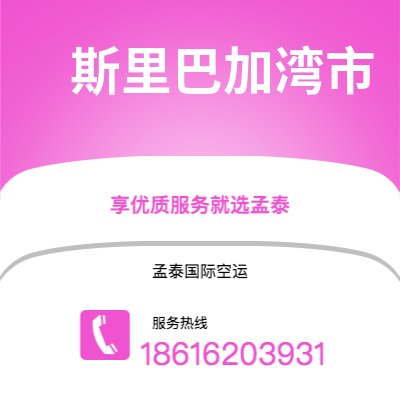 普洱市到斯里巴加湾市空运公司|普洱市至文莱斯里巴加湾市航空运输2
