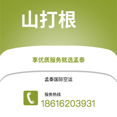 桃园市到山打根空运公司|桃园市至马来西亚山打根航空运输2