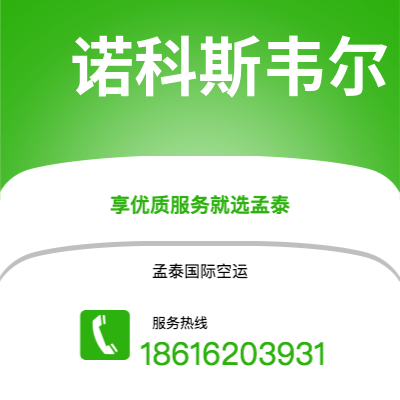 文山市到诺科斯韦尔快递价格查询|文山市至美国诺科斯韦尔国际快递公司2