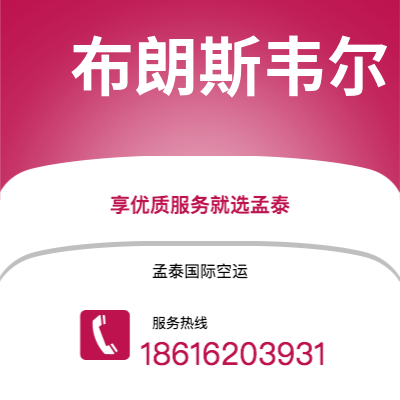 昭通市到布朗斯韦尔快递价格查询|昭通市至美国布朗斯韦尔国际快递公司2