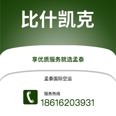 巴彦淖尔市到比什凯克快递价格查询|巴彦淖尔市至吉尔吉斯斯坦比什凯克国际快递公司2