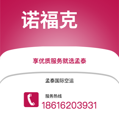 个旧市到诺福克空运公司|个旧市至美国诺福克航空运输2