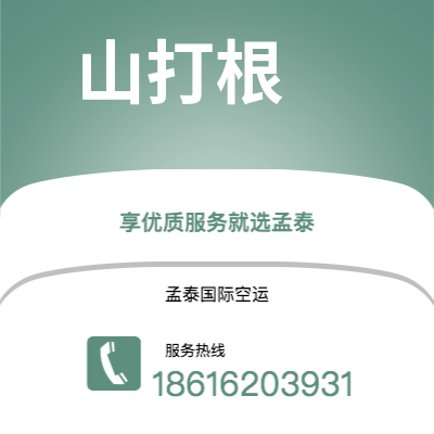 个旧市到山打根空运公司|个旧市至马来西亚山打根航空运输2