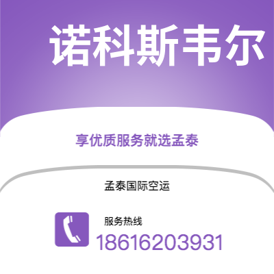 临沧市到诺科斯韦尔空运公司|临沧市至美国诺科斯韦尔航空运输2