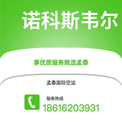 宁波到诺科斯韦尔空运公司|宁波到美国诺科斯韦尔航空运输2