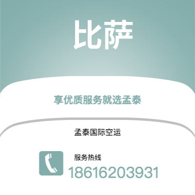 上海到比萨空运公司|上海至比萨航空运输2