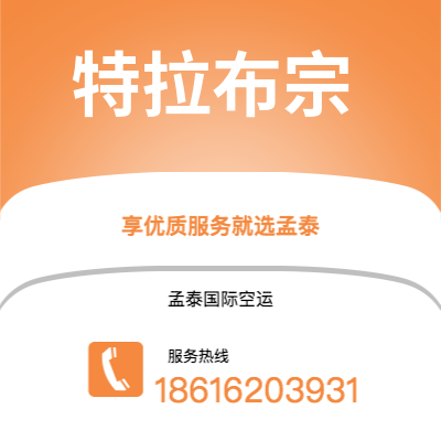 上海到特拉布宗空运公司|上海至特拉布宗航空运输2