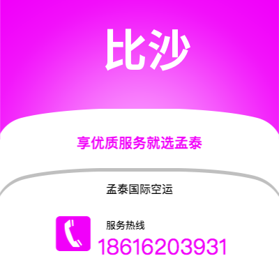 上海到比沙空运公司|上海至比沙航空运输2