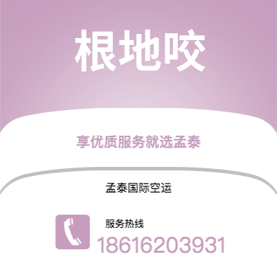 上海到根地咬空运公司|上海至根地咬航空运输2