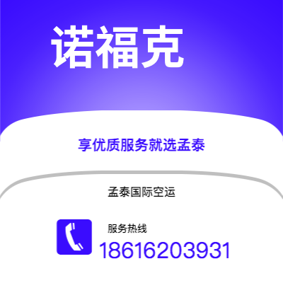 临沧市到诺福克空运公司|临沧市至美国诺福克航空运输2