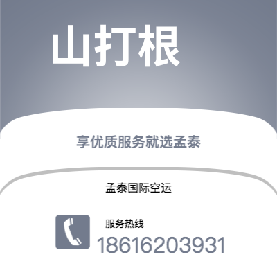 武汉到山打根空运公司|武汉到马来西亚山打根航空运输2