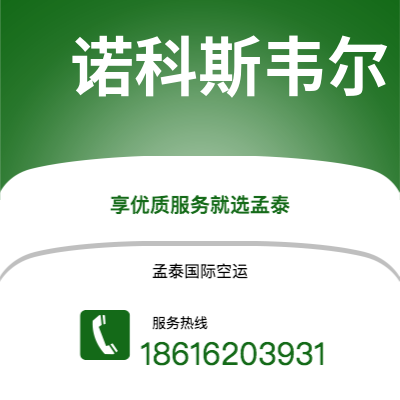 临沧市到诺科斯韦尔空运公司|临沧市至美国诺科斯韦尔航空运输2