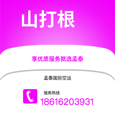 香港到山打根空运公司|香港到马来西亚山打根航空运输2