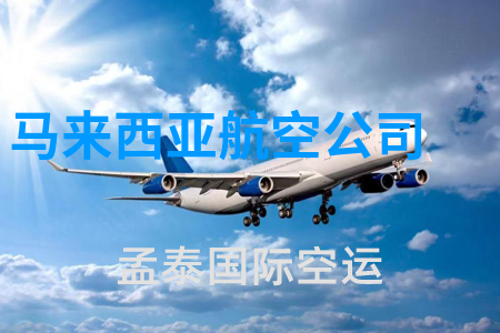 <strong>马来西亚航空公司</strong>